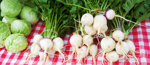  ORANGE COUNTY HOMEGROWN ORLEANS TUESDAY FARMER'S MARKET