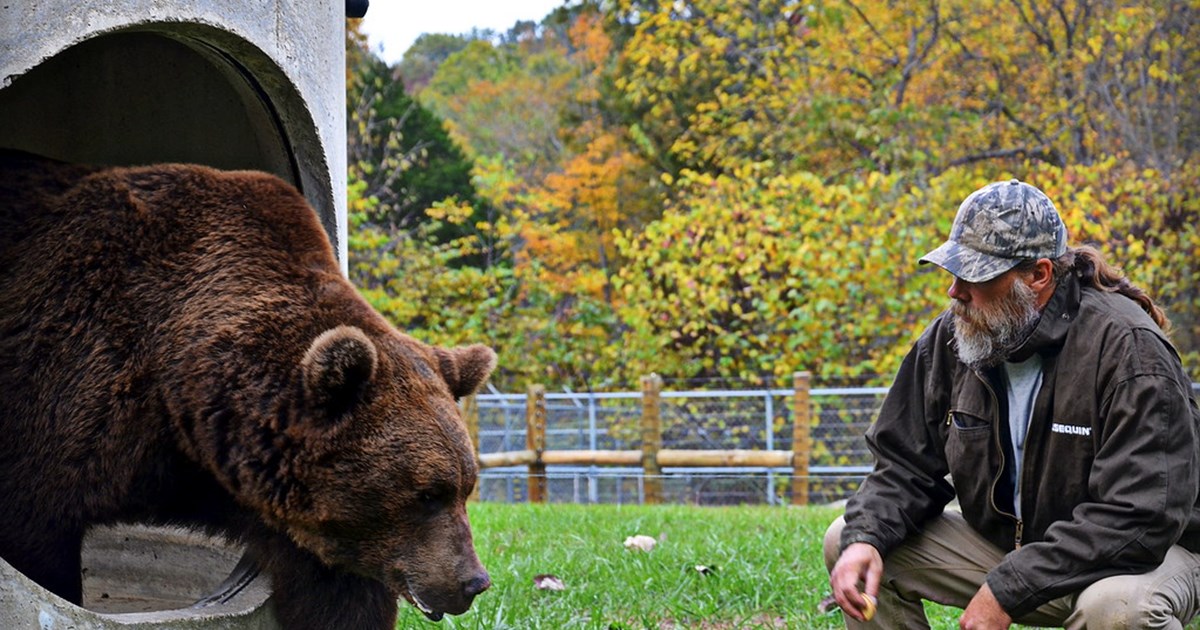 WILSTEM WILDLIFE PARK: AN EXPERIENCE OF A LIFETIME 2020